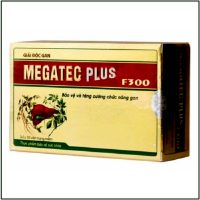 Megatec 2025 (3)