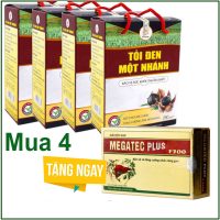 Tỏi đen 1 Nhánh Vn 250g 2025 (4)