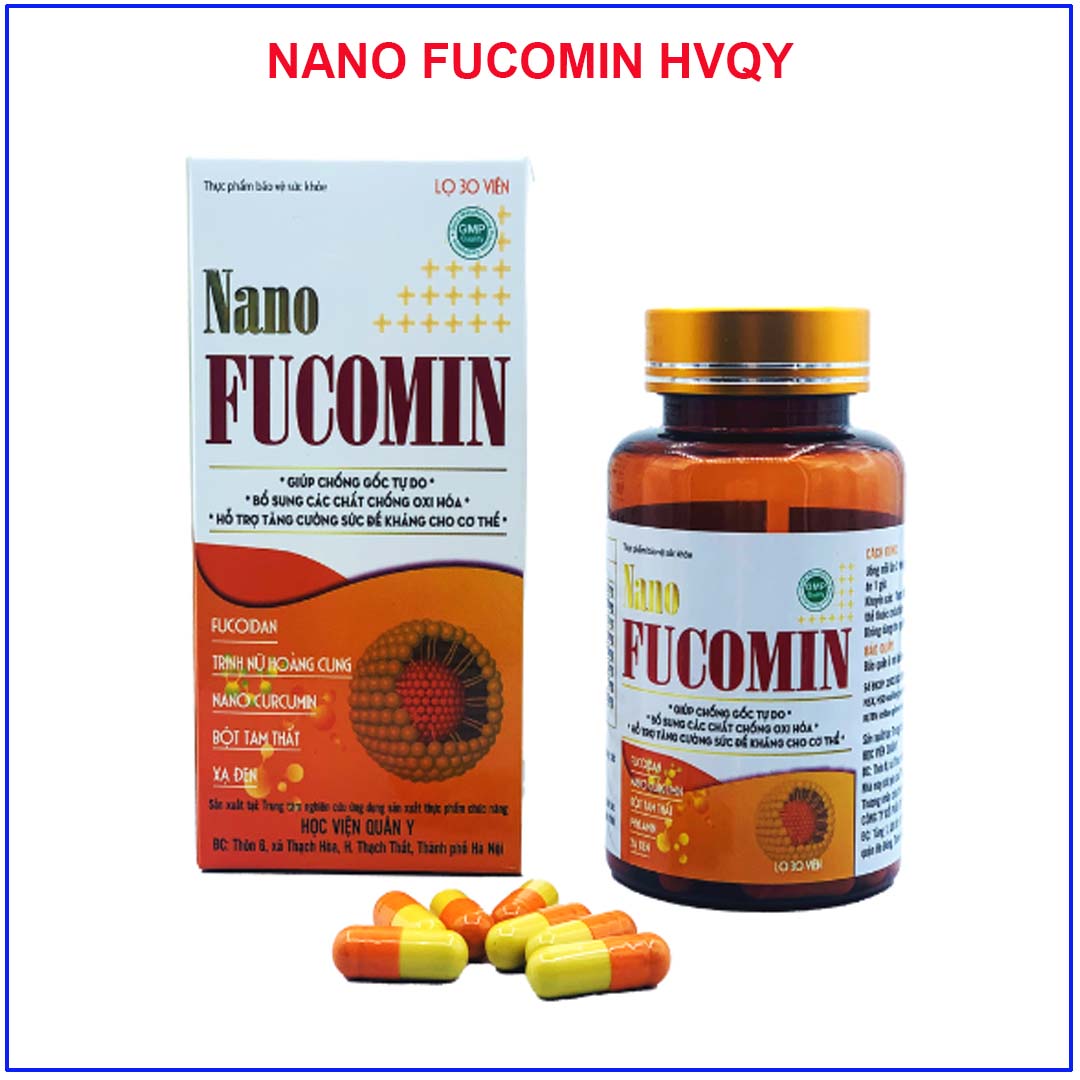 Nanofucomin 2025 (2)