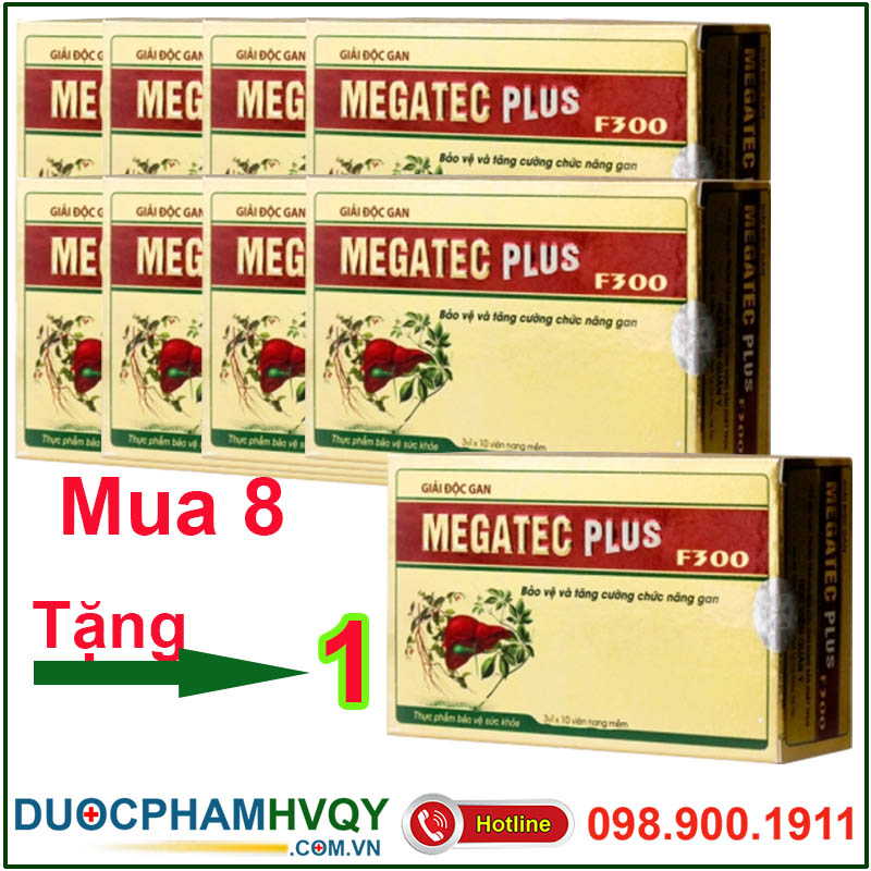 Megatec Plus 1