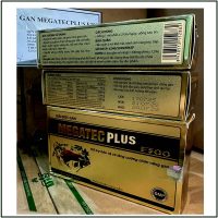Megatec 04.08.2025 (1)